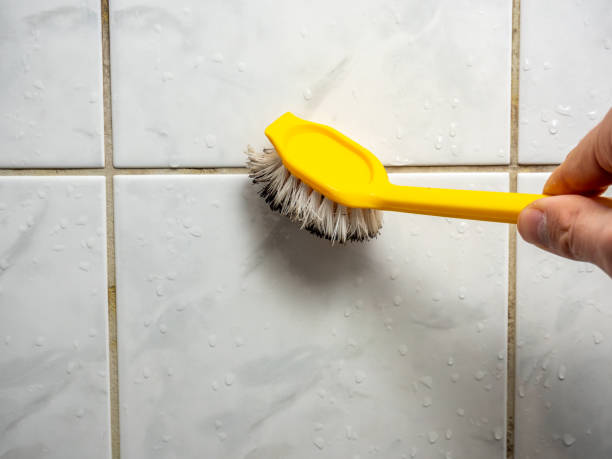 Office Mold Removal Services in Fanning Springs, FL