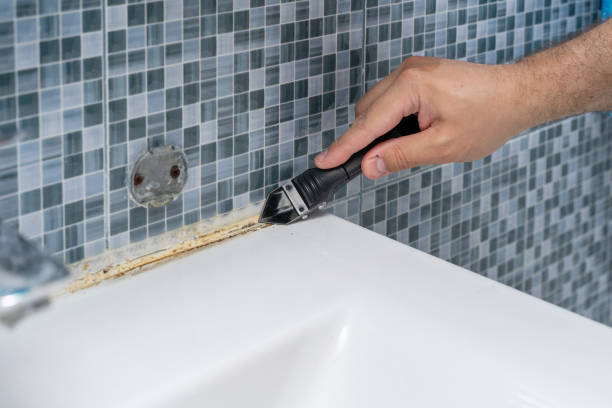 Best Home Mold Removal  in Fanning Springs, FL